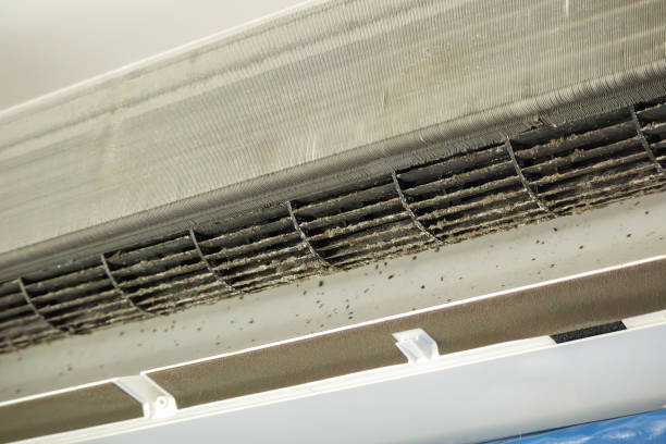 Best Local Air Duct Cleaning Services  in Panguitch, UT